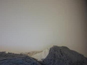 larry_jones webcam model stream image