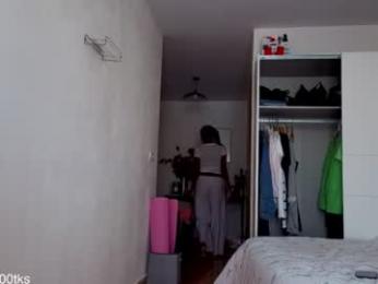 shinyplace webcam model stream image