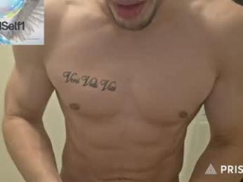 hardselfone webcam model stream image