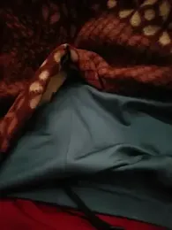 Noida_se_he webcam preview