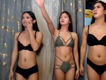 livefuckers_dual webcam chaturbate model stream image