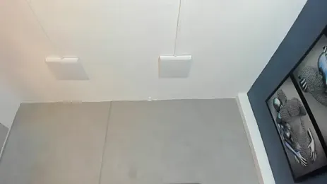 image de stream de Charlie___Musk