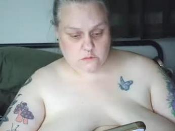 nellatlas webcam model stream image