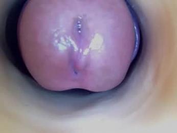 paulainoscente webcam model stream image