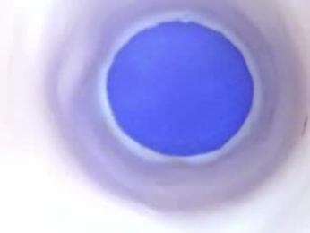paulainoscente webcam model stream image