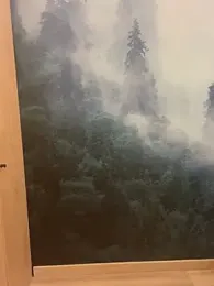 image de stream de ladoucedu34