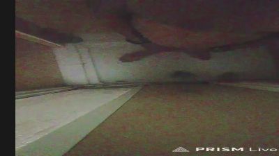 golfo181 webcam cam4 model stream image