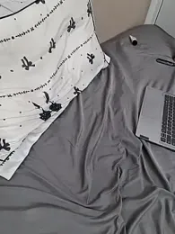 image de stream de bims-to