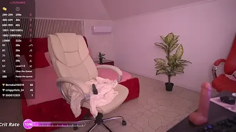 MadissonSoft webcam preview
